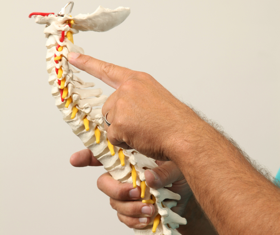 DNS therapy in Tempe AZ DNS therapy in Tempe AZ for posture correction core stability and movement rehabilitation